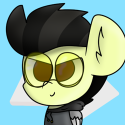 Size: 720x720 | Tagged: safe, artist:nhale, derpibooru import, oc, oc only, oc:lionard, pegasus, big ears, black mane, brown eyes, clothes, ears, glasses, logo, male, pegasus oc, ponysona, stallion