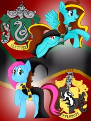 Size: 1620x2160 | Tagged: safe, artist:gracefulart693, derpibooru import, oc, oc:ilovekimpossiblealot, earth pony, pegasus, pony, clothes, duo, earth pony oc, female, harry potter (series), mare, pegasus oc, scarf, smiling