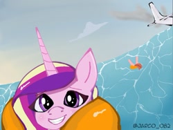 Size: 1065x803 | Tagged: safe, artist:jarco_082, derpibooru import, princess cadance, alicorn, accident, meme, ocean, plane, ponified, ponified meme, selfie, spanish, water