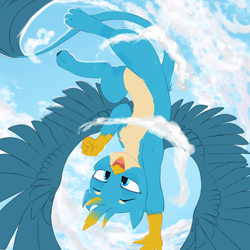 Size: 2000x2000 | Tagged: safe, artist:thieftea, derpibooru import, gallus, griffon, cloud, looking at you, paws, smiling, solo, spread wings, wings