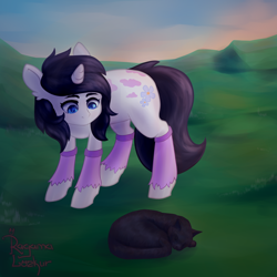 Size: 3000x3000 | Tagged: safe, artist:ragama lozkur, derpibooru import, oc, oc only, cat, pony, unicorn, solo