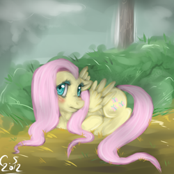 Size: 500x500 | Tagged: safe, artist:acidiic, derpibooru import, fluttershy, pegasus, pony, 2012, blushing, bush, female, looking at you, lying down, mare, outdoors, partially open wings, prone, solo, tree, wings