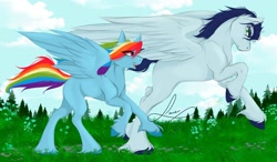 Size: 2291x1340 | Tagged: safe, artist:shadowdash44, derpibooru import, rainbow dash, soarin', female, male, running, shipping, soarindash, straight