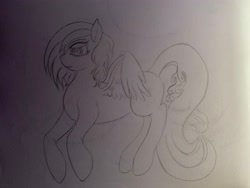 Size: 4032x3024 | Tagged: safe, derpibooru import, pegasus, pony, drawing, happy, lineart, pencil drawing, sketch, sketchbook, solo, spread wings, traditional art, wings