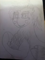 Size: 3024x4032 | Tagged: safe, derpibooru import, oc, oc only, pegasus, pony, chest fluff, happy, heart, lineart, pegasus oc, pencil drawing, pony oc, pose, sketch, sketchbook, smiling, solo, traditional art