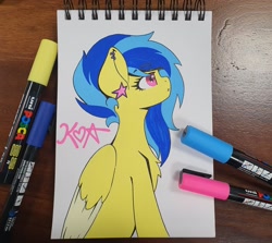 Size: 2048x1829 | Tagged: safe, artist:koa, derpibooru import, oc, oc only, oc:koa, pegasus, pony, solo, traditional art