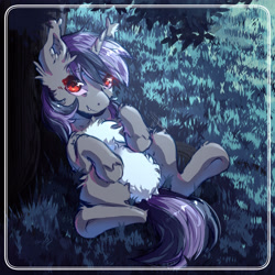 Size: 3000x3000 | Tagged: safe, artist:lonelyghost, derpibooru import, oc, oc:dreaming star, bat pony, hybrid, pony, unicorn, bat pony oc, bat pony unicorn, belly, belly fluff, chest fluff, commission, cute, fangs, featureless crotch, grass, grass field, horn, lying down, male, moonlight, night, ocbetes, on back, outdoors, pale belly, red eyes, stallion, tail, tail between legs