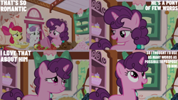 Size: 2000x1125 | Tagged: safe, derpibooru import, edit, edited screencap, editor:quoterific, screencap, apple bloom, sugar belle, sweetie belle, the big mac question