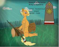Size: 1280x1024 | Tagged: safe, derpibooru import, oc, oc only, oc:huntercloud, pegasus, army, blonde, blonde hair, description, forest, general, gun, leaning, male, poland, purple eyes, rank, rifle, sitting, solo, sun, sunshine, tail, trunk, weapon, wings