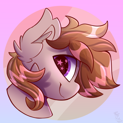 Size: 2500x2500 | Tagged: safe, artist:starcasteclipse, derpibooru import, oc, oc only, earth pony, pony, starry eyes, wingding eyes