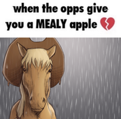 Size: 750x735 | Tagged: safe, artist:wtrclover, derpibooru import, applejack, earth pony, horse, hat, hoers, looking at you, meme, rain, realistic, solo, text