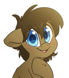 Size: 2415x2739 | Tagged: safe, artist:fluffyxai, derpibooru import, oc, oc only, oc:spirit wind, earth pony, pony, cute, looking at you, male, simple background, smiling, solo, stallion, transparent background