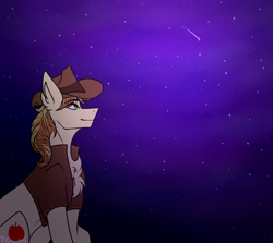 Size: 2600x2322 | Tagged: safe, artist:tocik, derpibooru import, braeburn, earth pony, clothes, commission, hat, looking up, male, night, shooting star, sitting, smiling, solo, stallion, two toned mane, vest, ych result