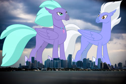 Size: 2048x1365 | Tagged: safe, artist:dashiesparkle, derpibooru import, edit, editor:jaredking779, seaspray, sky beak, classical hippogriff, hippogriff, duo, florida, giant hippogriff, highrise ponies, irl, jewelry, macro, male, mega giant, miami, necklace, photo, ponies in real life, story included