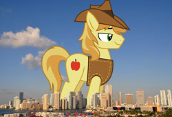 Size: 2048x1399 | Tagged: safe, artist:frownfactory, derpibooru import, edit, editor:jaredking779, braeburn, earth pony, pony, clothes, florida, giant pony, giant/macro earth pony, hat, highrise ponies, irl, macro, male, mega giant, miami, photo, ponies in real life, smiling, solo, stallion, vest