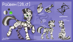 Size: 3190x1865 | Tagged: safe, artist:alrumoon_art, derpibooru import, oc, oc only, oc:rayven, pony, zebra, male, reference sheet, solo, zebra oc