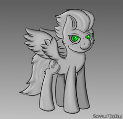 Size: 1133x1099 | Tagged: safe, artist:scarletdoodle, derpibooru import, oc, oc:swift apex, pegasus, cutie mark, grayscale, green eyes, male, monochrome, pegasus oc, solo, stallion