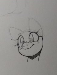 Size: 1536x2048 | Tagged: safe, artist:fullmetalsketch, derpibooru import, pony, sketch, smiling, solo, traditional art, wip