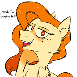 Size: 900x900 | Tagged: safe, artist:fuckomcfuck, derpibooru import, oc, oc only, oc:sun, pegasus, pony, blushing, ethereal mane, freckles, pegasus oc, simple background, solo, speech bubble, transparent background, wingding eyes