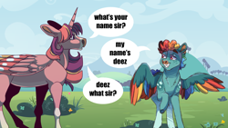 Size: 1920x1080 | Tagged: safe, artist:horsecrimes, derpibooru import, rainbow blitz, rainbow dash, twilight sparkle, twilight sparkle (alicorn), alicorn, pony, alternate design, colored wings, multicolored wings, rule 63, this will end in "gottem", wings