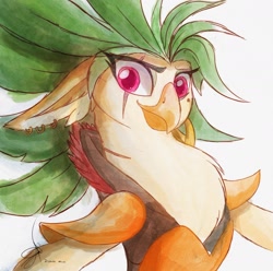 Size: 1984x1967 | Tagged: safe, artist:zidanemina, derpibooru import, captain celaeno, anthro, bird, bust, eye scar, facial scar, female, ornithian, parrot pirates, pirate, portrait, scar, signature, simple background, smiling, solo, traditional art, watercolor painting, white background