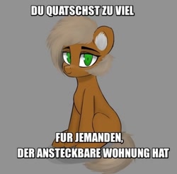 Size: 1080x1061 | Tagged: safe, artist:houl2902, derpibooru import, earth pony, pony, caption, german, looking at you, sitting, solo, text