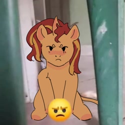 Size: 2048x2048 | Tagged: safe, artist:cardigansandcats, derpibooru import, sunset shimmer, pony, unicorn, equestria girls, blushing, censored, cute, emoji, frown, grumpy, looking at you, photo, ponified animal photo, shimmerbetes, sunset shimmer is not amused, unamused