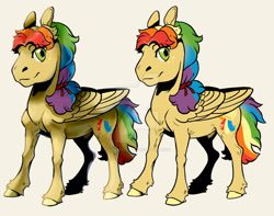 Size: 1920x1513 | Tagged: safe, artist:sandieflower, derpibooru import, oc, oc only, oc:goldie crust, pegasus, pony, beige background, deviantart watermark, male, multicolored hair, nudity, obtrusive watermark, offspring, parent:donut joe, parent:rainbow dash, parents:donutdash, rainbow hair, sheath, simple background, solo, stallion, watermark