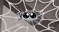 Size: 2160x1186 | Tagged: safe, derpibooru import, screencap, spider, rainbow roadtrip, big eyes, cute, hotel room, solo, spider web