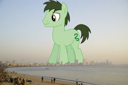 Size: 2047x1366 | Tagged: safe, artist:dragonchaser123, derpibooru import, edit, editor:jaredking779, earth pony, pony, background pony, giant pony, giant/macro earth pony, highrise ponies, india, irl, macro, male, mega giant, mumbai, photo, ponies in real life, potion hiss, solo, stallion