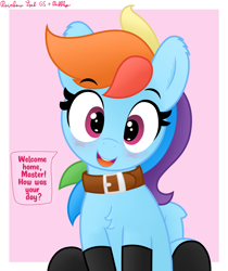Size: 3016x3589 | Tagged: safe, artist:pabbley, artist:rainbowšpekgs, derpibooru import, rainbow dash, pegasus, pony, blushing, bronybait, chest fluff, clothes, collar, cute, dashabetes, female, looking at you, mare, master, open mouth, open smile, passepartout, pet-dash, pink background, pony pet, simple background, smiling, smiling at you, socks, solo, speech bubble, stockings, talking to viewer, thigh highs