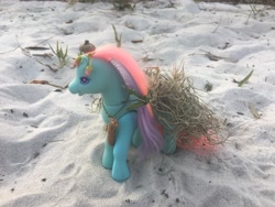 Size: 4032x3024 | Tagged: safe, derpibooru import, ivy, earth pony, pony, g2, acorn, bow, cactus, clothes, dress, druid, female, florida, flower, flower in hair, grass, hair bow, irl, jewelry, mare, necklace, photo, pinecone, plant, sand, solo, toy