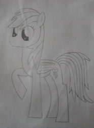 Size: 3120x4208 | Tagged: safe, derpibooru import, rainbow dash, pegasus, pony, dilated pupils, monochrome, raised hoof, raised leg, solo, traditional art