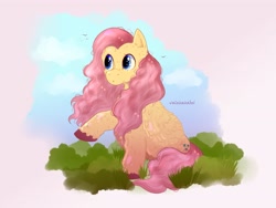 Size: 4000x3000 | Tagged: safe, artist:valeisaisabel1, derpibooru import, fluttershy, pegasus, pony, female, fluffy, folded wings, high res, looking at something, looking away, mare, outdoors, raised hoof, raised leg, sitting, solo, sparkles, unshorn fetlocks, wings