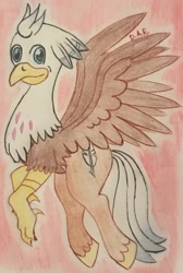 Size: 1576x2343 | Tagged: safe, artist:gracefulart693, derpibooru import, oc, oc only, oc:silver quill, hippogriff, hippogriff oc, solo, traditional art, unshorn fetlocks, wings