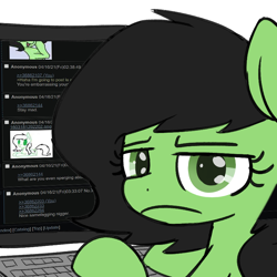 Size: 800x800 | Tagged: safe, derpibooru import, edit, oc, oc:anon filly, earth pony, 4chan, 4chan screencap, computer, earth pony oc, female, filly, foal, keyboard, looking at you, racial slur, slur, unamused