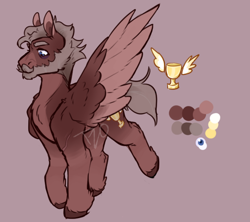 Size: 922x817 | Tagged: safe, artist:tyotheartist1, derpibooru import, oc, oc only, pegasus, pony, male, pegasus oc, reference sheet, solo, stallion