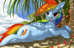 Size: 3072x2004 | Tagged: safe, artist:neoshrek, derpibooru import, rainbow dash, pegasus, pony, belly, belly button, eye clipping through hair, eyebrows, eyebrows visible through hair, female, folded wings, high res, looking at you, lying down, mare, open mouth, open smile, palm tree, prone, smiling, smiling at you, solo, tree, wet, wings