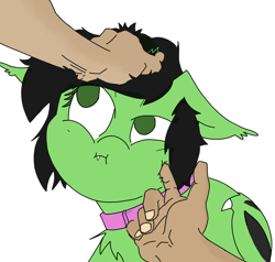 Size: 2480x2360 | Tagged: safe, artist:ponny, derpibooru import, oc, oc only, oc:bats, bat pony, human, pony, collar, cute, female, hand, head pat, human on pony petting, male, offscreen character, offscreen male, pat, petting, photo, pouting, scrunchy face, simple background, solo, stroking, white background