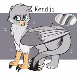 Size: 4000x4000 | Tagged: artist needed, safe, derpibooru import, oc, oc:kendji, griffon, claws, colored, flat colors, griffon oc, looking away, paws, reference sheet, shy