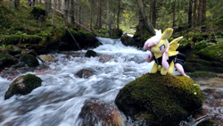 Size: 1192x670 | Tagged: safe, artist:mgrdash, derpibooru import, photographer:mgrdash, fluttershy, bat pony, pegasus, pony, bat ponified, flutterbat, forest, irl, photo, ponies in real life, race swap, river, solo, stream, water