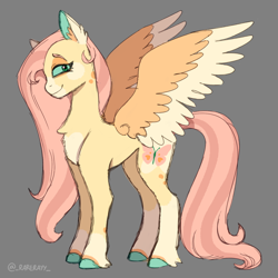 Size: 1120x1120 | Tagged: safe, artist:_rarerayy_, derpibooru import, fluttershy, pegasus, pony, female, mare, redesign, simple background, solo