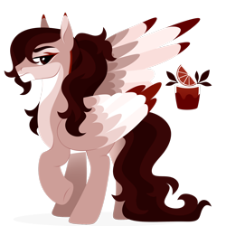 Size: 1920x1920 | Tagged: safe, artist:kabuvee, derpibooru import, oc, oc only, oc:altair, pegasus, pony, colored wings, male, multicolored wings, pegasus oc, simple background, solo, stallion, transparent background, wings