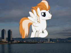 Size: 1024x768 | Tagged: safe, artist:chainchomp2 edits, derpibooru import, edit, editor:jaredking779, fire streak, pegasus, pony, background pony, barcelona, giant pegasus, giant pony, highrise ponies, irl, looking at you, macro, male, mega giant, photo, ponies in real life, smiling, solo, spain, spread wings, stallion, wings