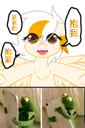 Size: 523x790 | Tagged: safe, derpibooru import, oc, pegasus, pony, kermit the frog, phone, translation request