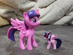 Size: 4000x3000 | Tagged: safe, derpibooru import, photographer:professorventurer, twilight sparkle, twilight sparkle (alicorn), alicorn, pony, duality, irl, photo, self paradox, self ponidox, size difference, tiny twi, toy