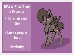 Size: 2102x1584 | Tagged: safe, artist:wax feather, derpibooru import, oc, oc only, oc:wax feather, pegasus, male, pegasus oc, reference sheet, stallion