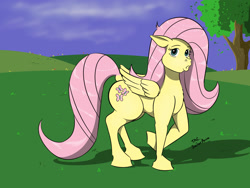 Size: 2000x1500 | Tagged: safe, artist:sailoranna, derpibooru import, fluttershy, pegasus, pony, solo