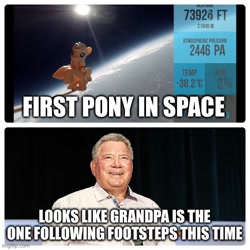 Size: 500x500 | Tagged: safe, derpibooru import, applejack, human, pony, implied grand pear, irl, irl human, photo, ponies in real life, ponies in space, toy, voice actor joke, william shatner