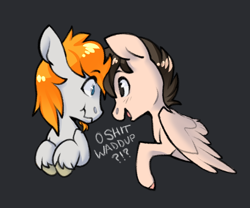 Size: 1050x875 | Tagged: safe, artist:sinclair2013, derpibooru import, oc, oc only, oc:sinclair, pegasus, pony, duo, looking at each other, looking at someone, male, simple background, stallion, vulgar